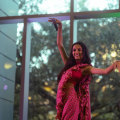 The Vibrant South Asian Community of Austin, TX
